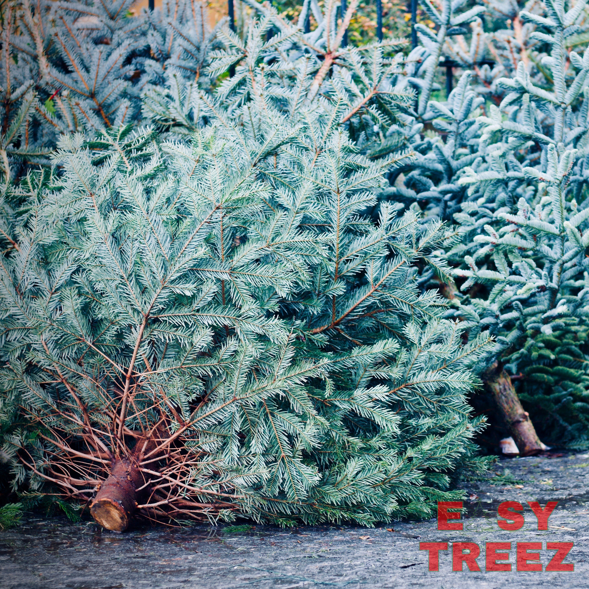 Removal and Recycling